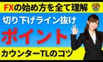 MT4のちょっとマニアックな設定 （初心者向け）