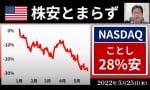 株安とまらず ナスダック今年28%安（後藤達也）