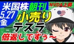 テスラ、小売り株の逆襲！（米国株朝刊放送局）